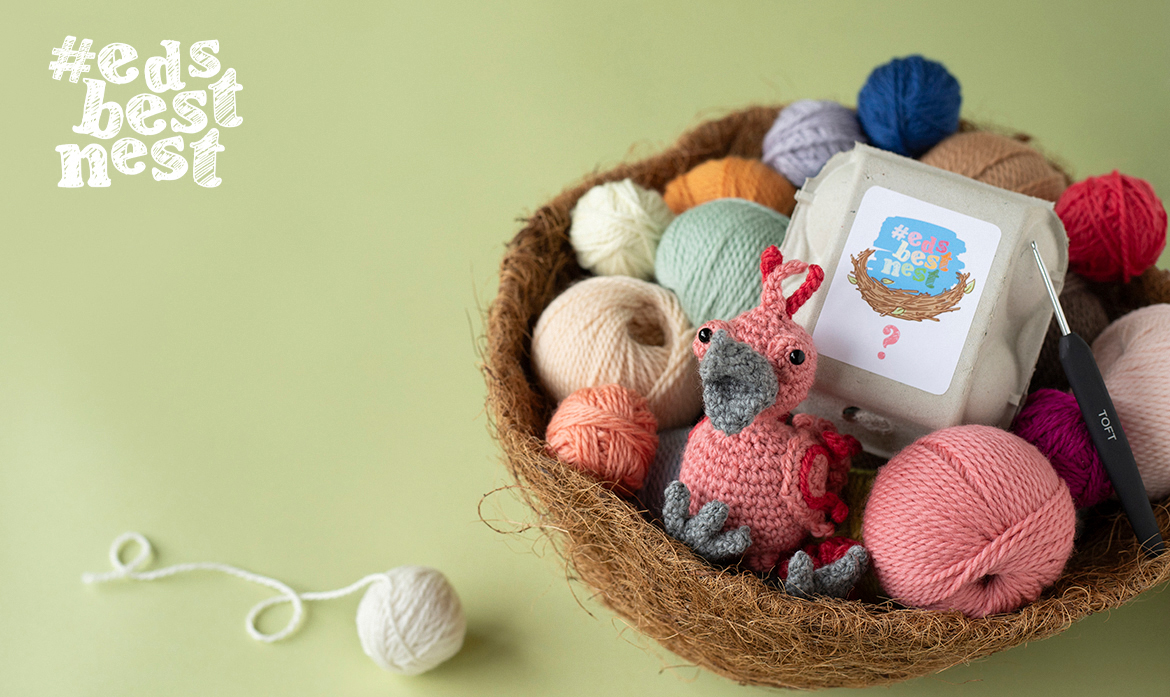 Summer photography competition crochet a mini bird and win
